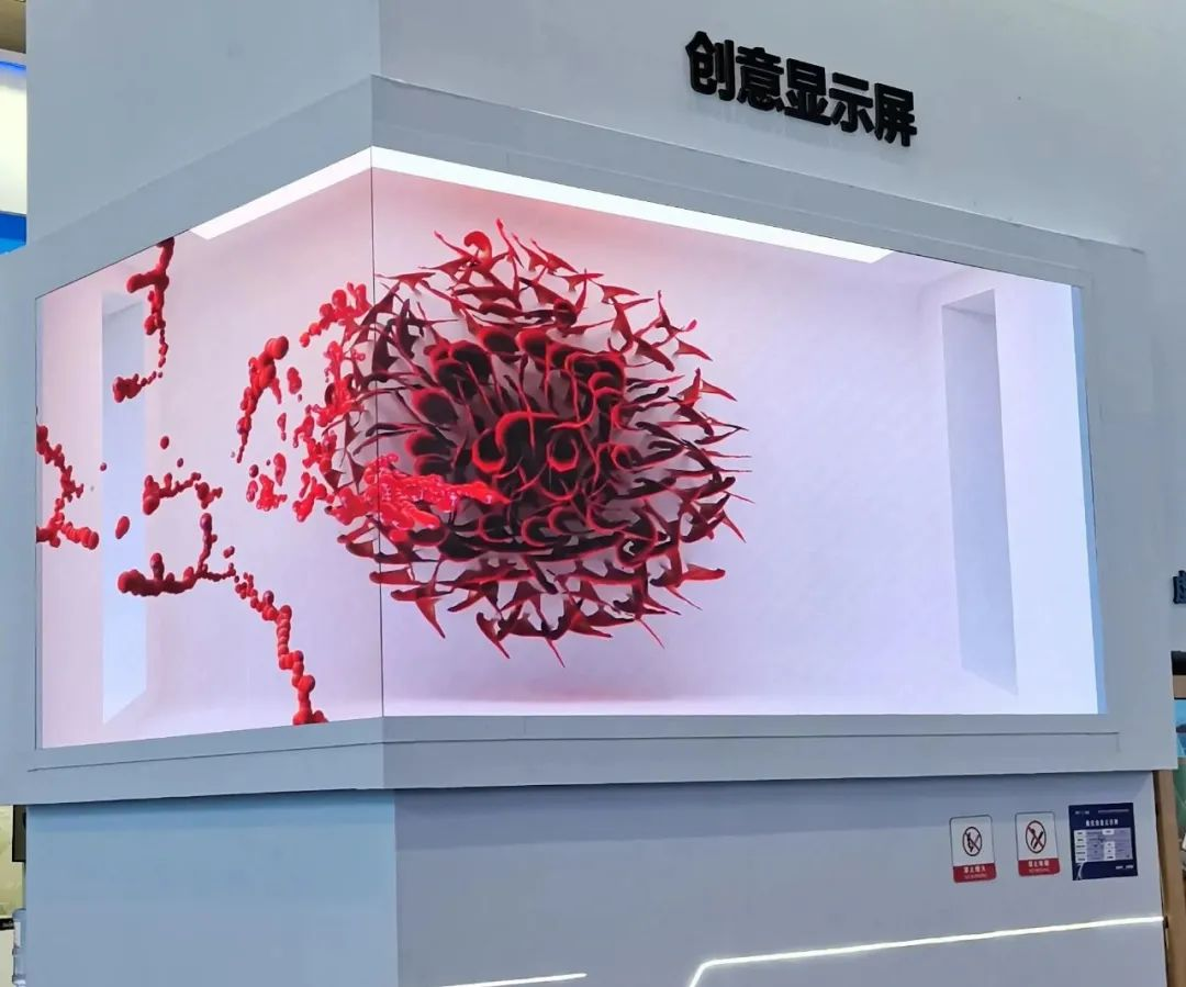 惊艳亮相南博会 | 豪运国际welcome打造视觉盛宴