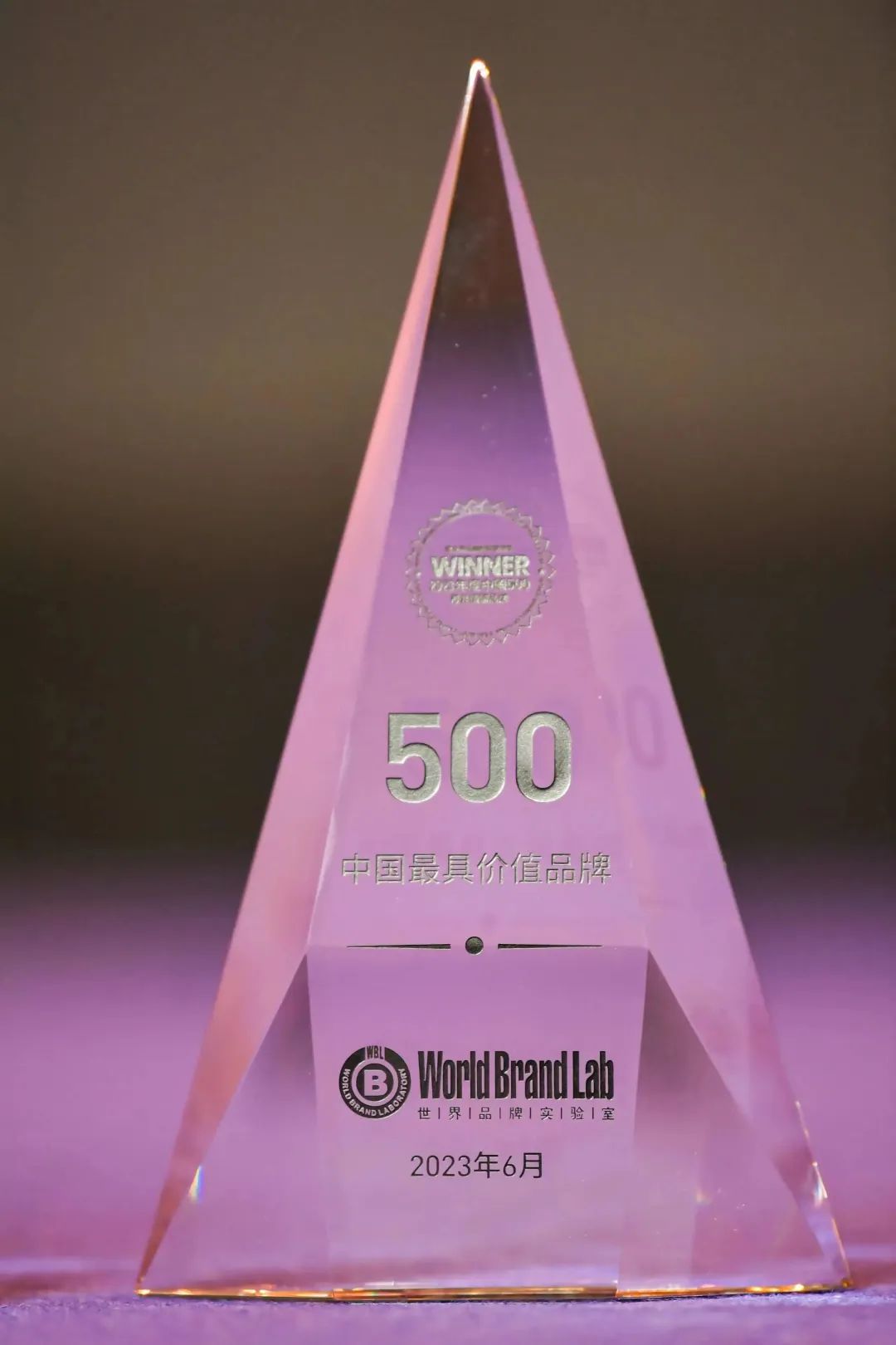 权威认证 豪运国际welcome入选中国500最具价值品牌