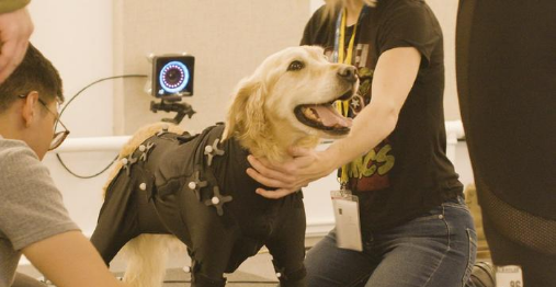 豪运国际官网-追求康健,你我一起生长