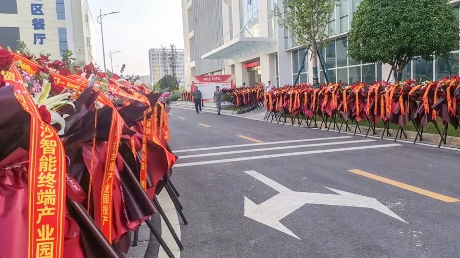 豪运国际官网-追求康健,你我一起生长