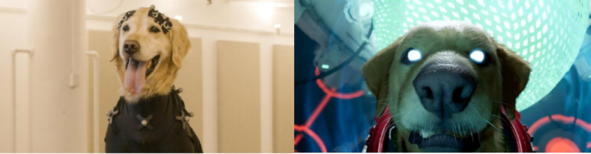 豪运国际官网-追求康健,你我一起生长