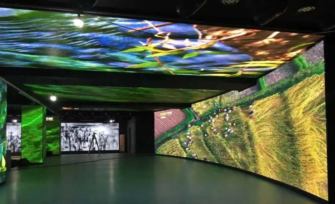 豪运国际官网-追求康健,你我一起生长