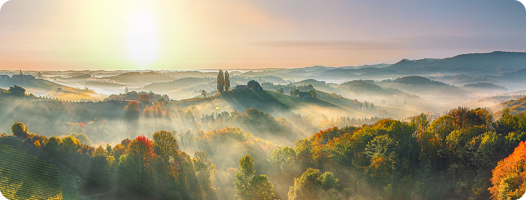 可一连生长战略